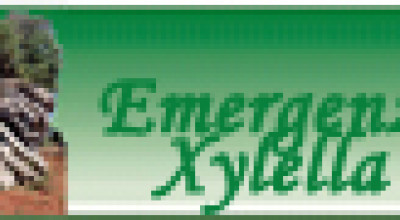 LINK PER L'ACCESSO AL PORTALE DELLA REGIONE PUGLIA SULL'EMERGENZA XYLELLA