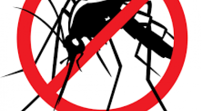 INTERVENTI DI DISINFEZIONE, DISINFESTAZIONE E DERATTIZZAZIONE DEL TERRITORIO ...