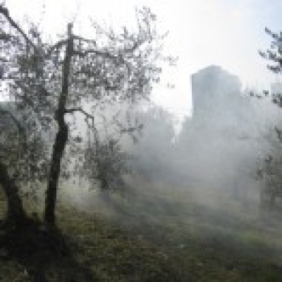 IL SINDACO SCRIVE AL PREFETTO DI LECCE E AL PRESIDENTE DELLA PROVINCIA PER RI...