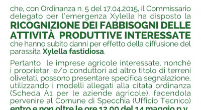 RICOGNIZIONE FABBISOGNI ATTIVITA' ECONOMICHE E PRODUTTIVE - ORDINANZA DEL COM...