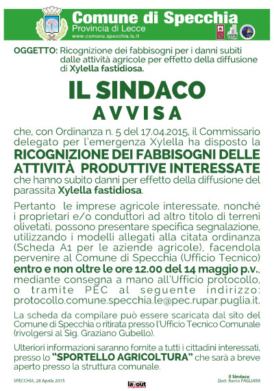 RICOGNIZIONE FABBISOGNI ATTIVITA' ECONOMICHE E PRODUTTIVE - ORDINANZA DEL COM...