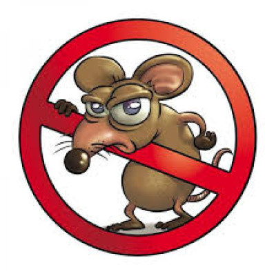 SANIFICAZIONE DELLE OPERE FOGNARIE PER IL 2018 PRESSO IL COMUNE DI SPECCHIA