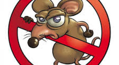 SANIFICAZIONE DELLE OPERE FOGNARIE PER IL 2018 PRESSO IL COMUNE DI SPECCHIA