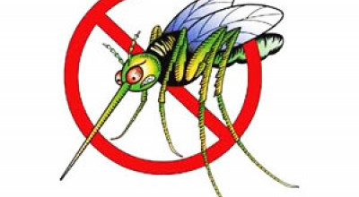 CALENDARIO INTERVENTI ESTIVI DI DISINFEZIONE E DISINFESTAZIONE SUL TERRITORIO...