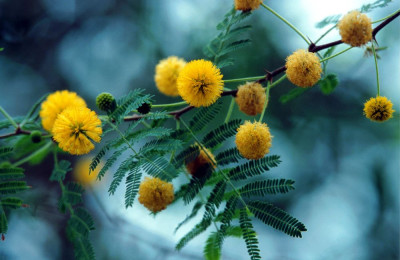 8 MARZO - GIORNATA INTERNAZIONALE DELLA DONNA