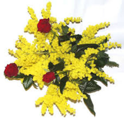 8 MARZO - FESTA DELLA DONNA