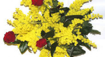 8 MARZO - FESTA DELLA DONNA