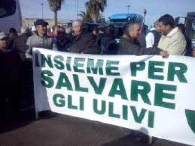 INSIEME PER SALVARE GLI ULIVI - OGGI LA MARCIA A LECCE