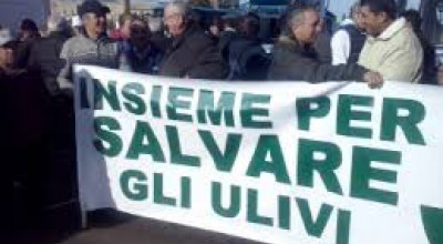 INSIEME PER SALVARE GLI ULIVI - OGGI LA MARCIA A LECCE
